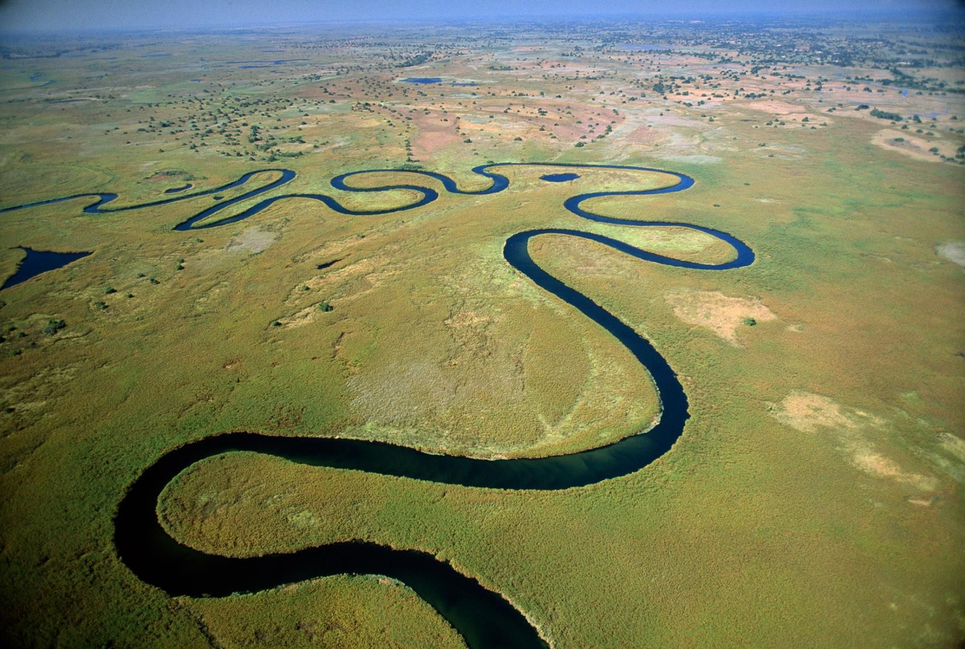 Okavango Delta Landscape